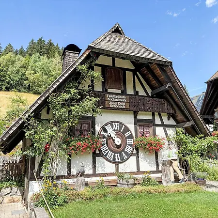 Lägenhet Schwarzwaldblick-27 By Interhome Schonach im Schwarzwald
